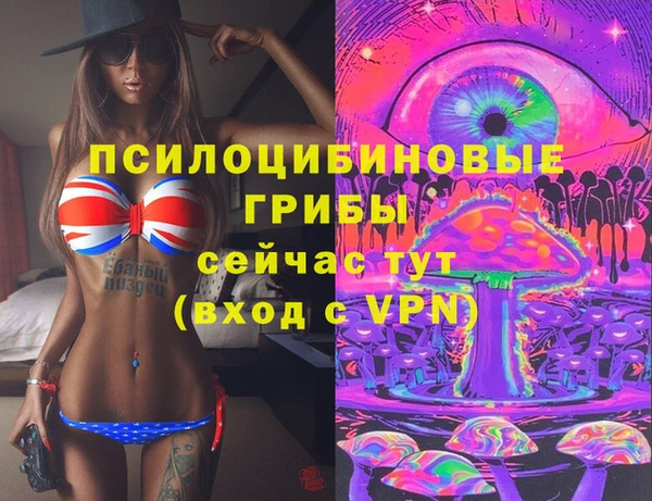 синтетический гашиш Арсеньев