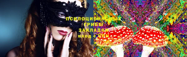 бошки Армянск