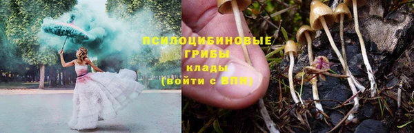 амф Аркадак