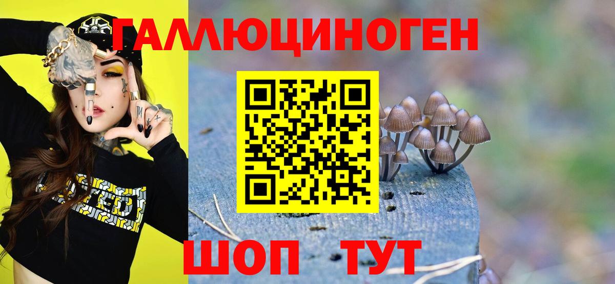 Псилоцибиновые грибы GOLDEN TEACHER  Вход с VPN  Псилоцибиновые грибы MAGIC MUSHROOMS  Бирск 